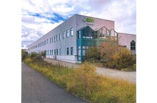 Gewerbeimmobilie kaufen in 95466 Weidenberg, Großzügige Hallen-Betriebs-Produktionsgebäude mit Büros
