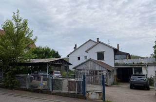 Gewerbeimmobilie kaufen in 75196 Remchingen, Lager-/Produktionshalle & 5 Wohnungen: Potenziale entdecken, Chancen nutzen