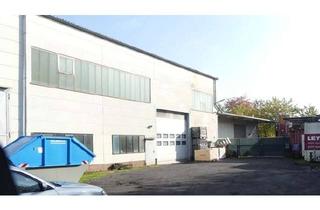 Büro zu mieten in 47608 Geldern, +++Produktions- und Lagerhalle mit Bürofläche+++Provisionsfrei