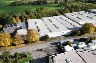 Gewerbeimmobilie mieten in Carl-Zeiss-Str. 10, 32805 Horn-Bad Meinberg, Produktions- und Lagerhalle zu vermieten