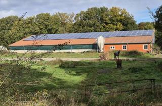 Gewerbeimmobilie kaufen in 25712 Burg, Viel Raum für Ideen: Ehemaliger Milchviehstall auf großem Grundstück