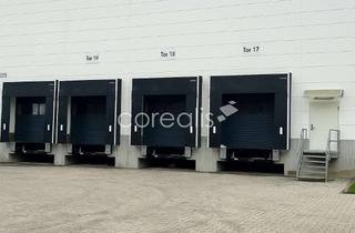 Büro zu mieten in 40764 Langenfeld, *PROVISIONSFREI* 1.200 m² | zwei Rampen + ebenerdiges Tor | kleines Büro | sofort