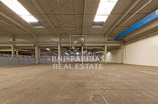 Gewerbeimmobilie mieten in 84453 Mühldorf, Moderne Logistikhalle an der A94