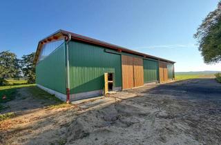 Gewerbeimmobilie mieten in 25370 Seester, Isolierte Kalt-Lagerhalle in ländlicher Umgebung