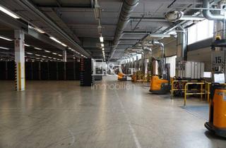 Gewerbeimmobilie mieten in 71034 Böblingen, Hallenfläche mit 24 Rampen in Böblingen