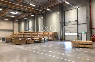 Gewerbeimmobilie mieten in 71706 Markgröningen, Moderne Hallenfläche in bester Lage