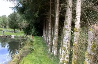 Anlageobjekt in 94234 Viechtach, NATUR - INDIVIDUELL - FREIZEITGRUNDSTÜCK