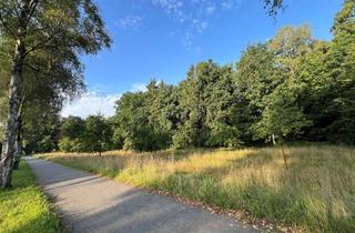 Grundstück zu kaufen in 21244 Buchholz, Großes Baugrundstück in Holm-Seppensen