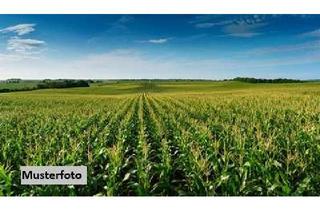 Grundstück zu kaufen in Im Gallmoos/Vogelsand, 93128 Regenstauf, Landwirtschaftsflächen - ohne Provision!