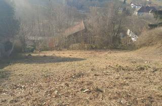 Grundstück zu kaufen in 93453 Neukirchen, BAUGRUNDSTÜCK - 2400 m² - NEUKIRCHEN