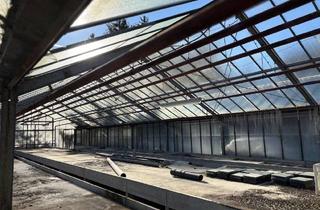 Grundstück zu kaufen in 25774 Krempel, Vielerlei