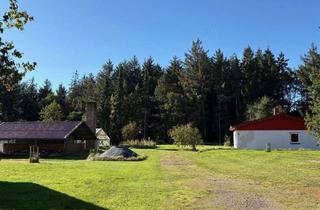 Grundstück zu kaufen in 25774 Krempel, Vielerlei