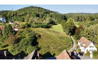 Grundstück zu kaufen in 76891 Erlenbach bei Dahn, Vielfältig bebaubares Grundstück-auch Tiny Haus Bebauung-mit Blick auf die Berwartstein