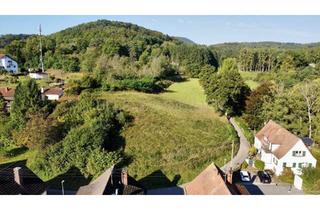 Grundstück zu kaufen in 76891 Bundenthal, Vielfältig bebaubares Grundstück - auch Tiny Haus Bebauung - mit Blick auf die Berwartstein