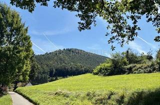 Grundstück zu kaufen in 76891 Bundenthal, Grundstück mit Tiny-House-Potenzial - Natur, Weitblick und viele Möglichkeiten