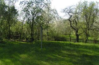 Grundstück zu kaufen in Leipziger Strasse 147, 04720 Döbeln, Baugrundstück, drei Häuser bauen, eins selber nutzen und zwei vermieten