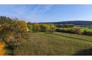 Grundstück zu kaufen in Am Gänsbühl 16, 95517 Seybothenreuth, Beeindruckendes 2.549 m² Doppel-Grundstück in Seybothenreuth mit Südausrichtung und Fernblick!