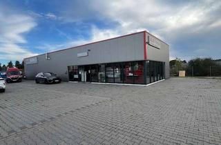 Gewerbeimmobilie kaufen in 48565 Steinfurt, Junge Gewerbehalle mit Showroom