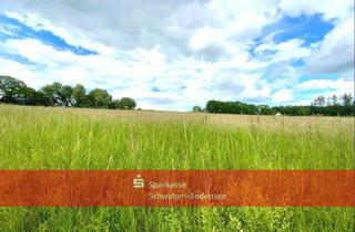 Gewerbeimmobilie kaufen in 87742 Apfeltrach, Wiese in Köngetried