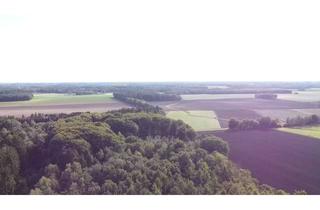 Gewerbeimmobilie kaufen in 27243 Harpstedt, Waldfläche in Harpstedt - Natur pur mit vielseitigem Bestand