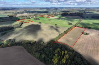 Gewerbeimmobilie kaufen in 19246 Zarrentin, ca. 27,63 ha Ackerland zwischen Hamburg und Schwerin