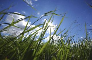 Grundstück zu kaufen in 82340 Feldafing, AIGNER - Attraktives Grundstück in Feldafing für zwei freistehende EFH/ZFH