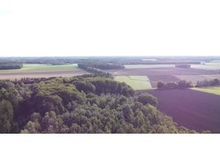 Grundstück zu kaufen in 27243 Harpstedt, Waldfläche in Harpstedt - Natur pur mit vielseitigem Bestand