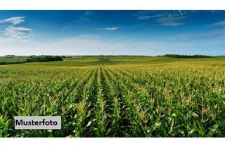 Immobilie kaufen in 96167 Königsfeld, Landwirtschaftsfläche - provisionsfrei