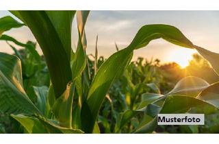 Immobilie kaufen in 35649 Bischoffen, Landwirtschaftsflächen