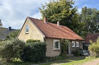 Einfamilienhaus kaufen in 21423 Winsen, EFH zur Sanierung mit ca. 100 m² Wohn-/Nutzfläche + Keller in guter Lage von Winsen/Stadt
