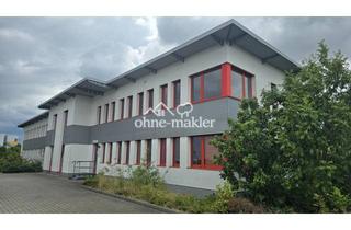 Büro zu mieten in 01458 Ottendorf-Okrilla, Attraktive Logistik- oder Produktionshalle - Beste Lage und Anbindung - Nahe Dresden