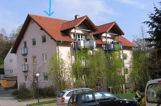 Wohnung kaufen in Fohnbachstraße 41, 66976 Rodalben, Moderne, helle u. freundliche Wohnung in Rodalben