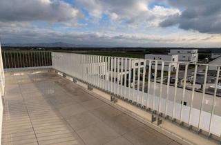 Wohnung kaufen in 64579 Gernsheim, Licht, Luft und Lebensqualität – Ihr neues Zuhause