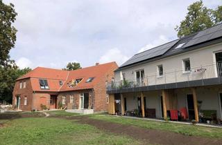 Wohnung mieten in Breitscheidstraße 21c, 16348 Wandlitz, Barrierefreie 3-Zimmer Wohnung in Wandlitz