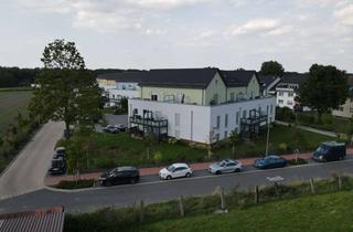 Wohnung mieten in 30926 Seelze, Schöne 2 Zimmer Wohnung im EG, An der Pferdekoppel 2