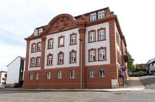 Wohnung mieten in Gymnasiumstraße, 66482 Zweibrücken, Stilvolle Zweiraumwohnung Möbiliert ab sofort zu Vermieten ab 01.02.2026 zu Vermieten