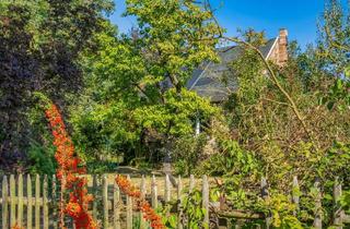 Haus kaufen in 15377 Märkische Höhe, Ruhig und idyllisch am Dorfteich gelegenes großes Grundstück mit Haus zum Träume verwirklichen!