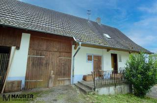 Haus kaufen in 79336 Herbolzheim, Sanierungsobjekt mit Geschichte und Potenzial im Ortskern von Bleichheim – im Bieterverfahren