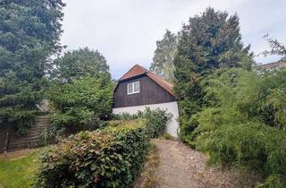 Haus kaufen in 31303 Burgdorf, Seltene Gelegenheit MFH und EFH mit 9 WE