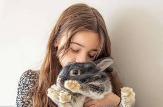 Einfamilienhaus kaufen in 31311 Uetze, ***Charmantes Einfamilienhaus in ruhiger Lage mit Klinkeraktion***