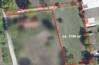 Grundstück zu kaufen in 29358 Eicklingen, Eicklingen - grosszügiges Baugrundstück für Ihr neues Zuhause