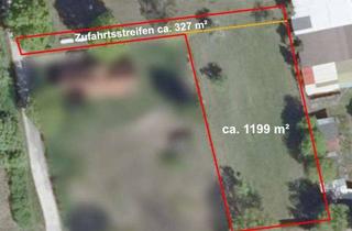 Grundstück zu kaufen in 29358 Eicklingen, Eicklingen - grosszügiges Baugrundstück für Ihr neues Zuhause