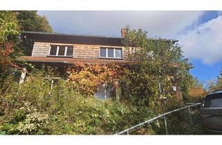 Haus kaufen in 38723 Seesen, Freistehendes EinfamilienHOLZhaus mit großem Naturgarten