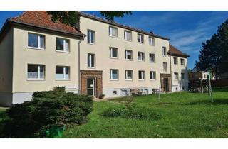 Mehrfamilienhaus kaufen in 06118 Seeben, Zwei gepflegte Mehrfamilienhäuser in Seeben
