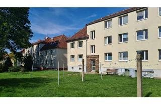 Mehrfamilienhaus kaufen in 06118 Seeben, Gepflegtes Mehrfamilienhaus in Seeben