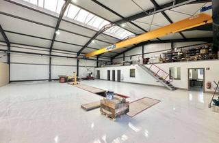 Büro zu mieten in 71711 Steinheim, Neue und moderne Industriehalle für bspw. eine Nutzfahrzeugwerkstatt mit Büroflächen