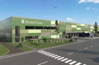 Gewerbeimmobilie mieten in 48432 Rheine, CO-EXKLUSIV ÜBER BNPP RE - LEADMAKLERAUFTRAG | Hochmoderne Logistikimmobilien | Neubauerstbezug