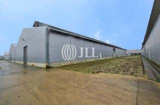 Gewerbeimmobilie kaufen in 52538 Selfkant, Grenznahe Lagerhalle zu den Niederlanden und Belgien - Ankauf über JLL