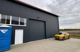 Gewerbeimmobilie mieten in Friedrich Penseler Str. 38, 21337 Lüneburg, Moderne ebenerdige Halle am Bilmer Berg von Lüneburg