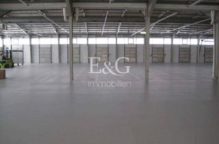Gewerbeimmobilie mieten in 89129 Langenau, Attraktive Hallenflächen mit Rampenandienung in bester Lage